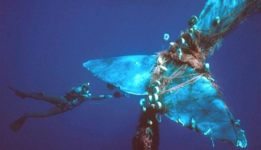 ゴーストネットの脅威−プラスチックの漁具に絡まる海洋動物