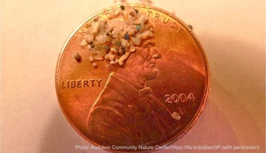 海洋マイクロプラスチックとは？その発生源は？