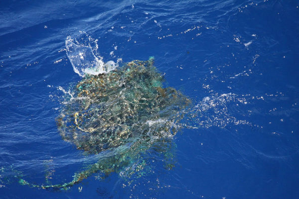 海面に浮かぶ漁網