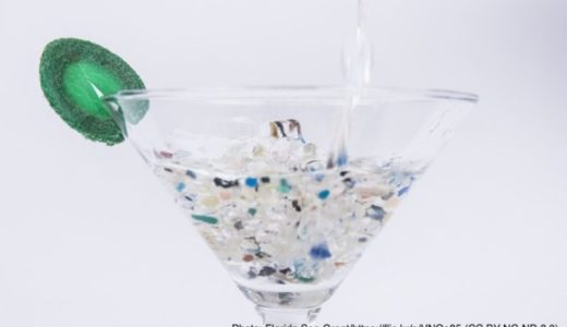 海のプラスチックごみは化学物質のカクテル