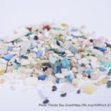 海のマイクロプラスチック