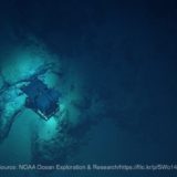 深海の海底と無人探査機