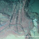 海底の漁網
