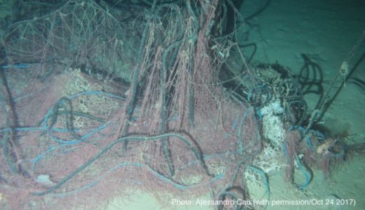 海底谷に溜まるプラスチックごみが貴重な深海サンゴを破壊