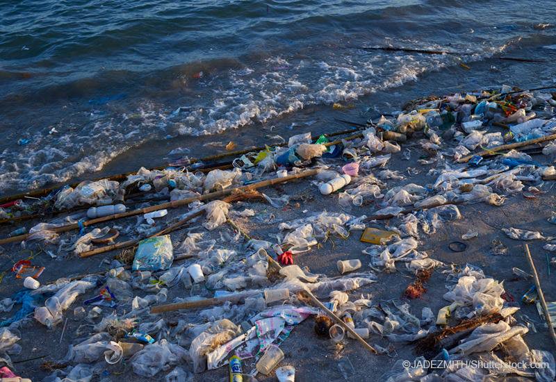 浜辺に散乱するプラスチックごみ