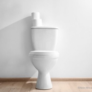 簡単にゴミにしない!自然素材のトイレブラシを長く清潔に使おう