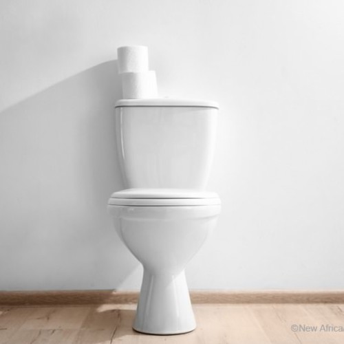 トイレ掃除_プラなし