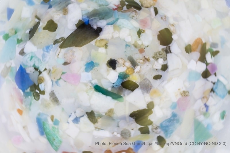 マイクロプラスチック