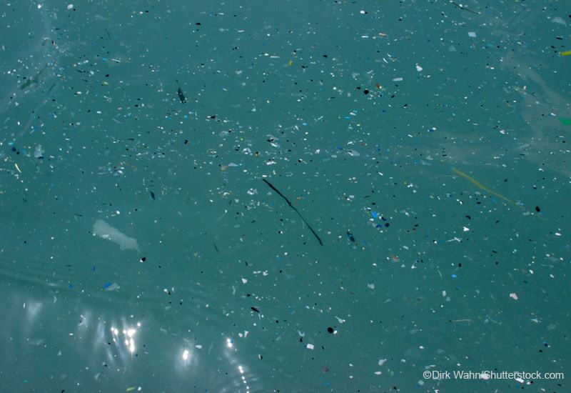 海面に浮かぶマイクロプラスチック