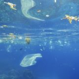 海|マイクロプラスチック|問題・影響・原因|海洋汚染|使い捨てプラスチック|プラごみ