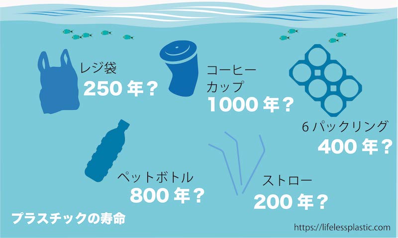 海洋プラスチック 分解 何年？